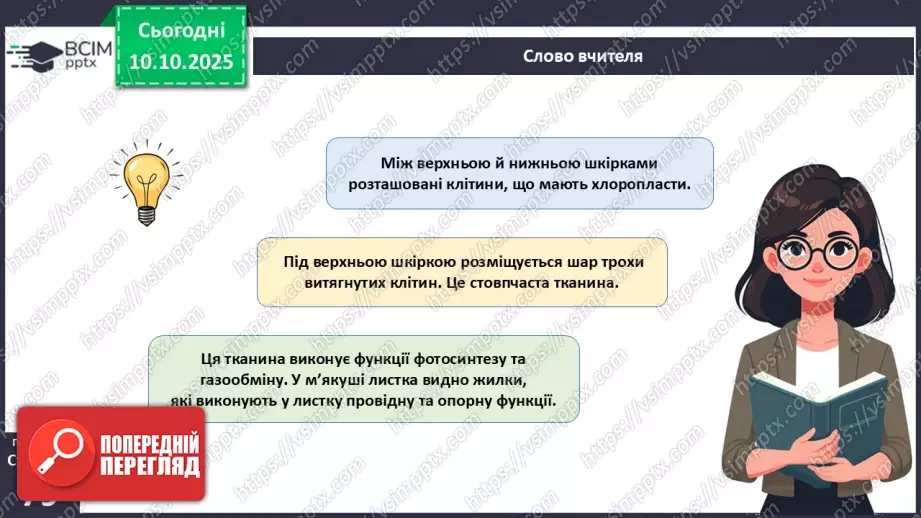 №023 - Покритонасінні рослини: будова бруньки, пагона й листка (продовження).19 №023 - Покритонасінні рослини: будова бруньки, пагона й листка (продовження).19