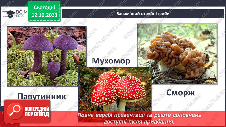 №024 - Осінь - грибна пора18 №024 - Осінь - грибна пора18