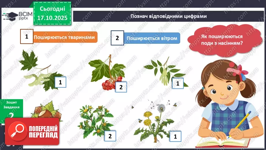 №026 - Досліджуємо як поширюються плоди та насіння в природі.16 №026 - Досліджуємо як поширюються плоди та насіння в природі.16