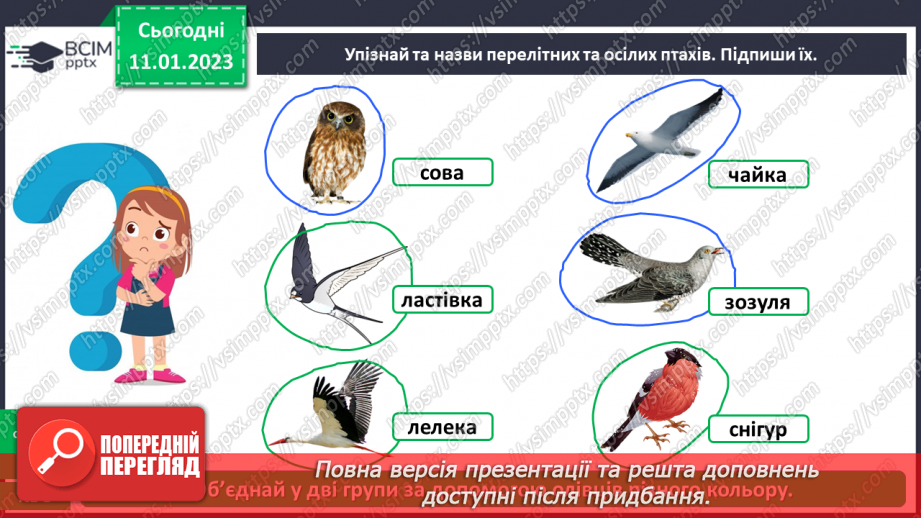 №0057 - Птахи18