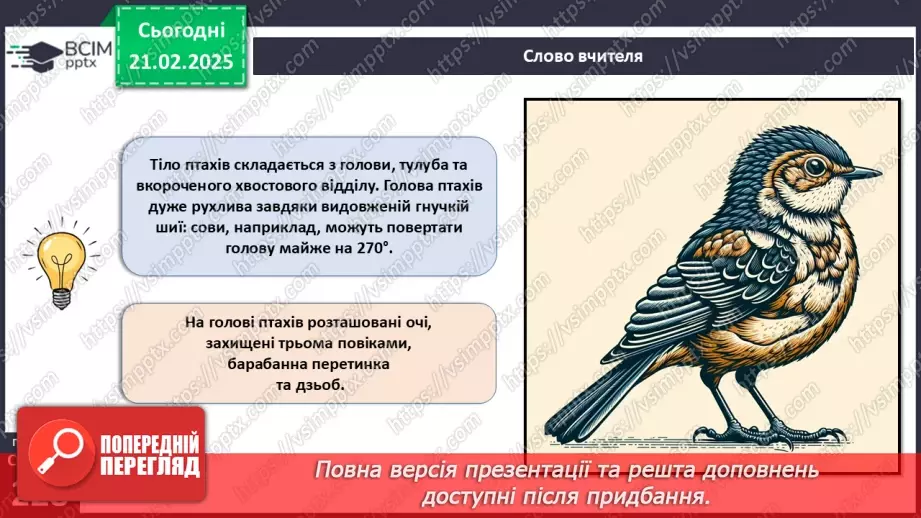 №64 - Птахи: риси пристосованості до польоту.8
