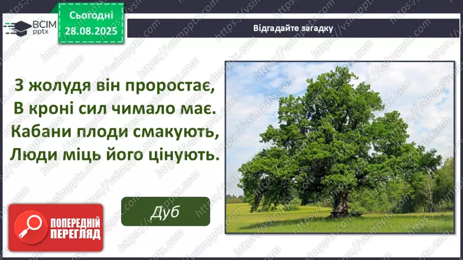 №02 - Основні поняття: графіка, графічні матеріали СМ: В. Мамчич «Кримське дерево»; методичний малюнок дерева пастеллю4 №02 - Основні поняття: графіка, графічні матеріали СМ: В. Мамчич «Кримське дерево»; методичний малюнок дерева пастеллю4