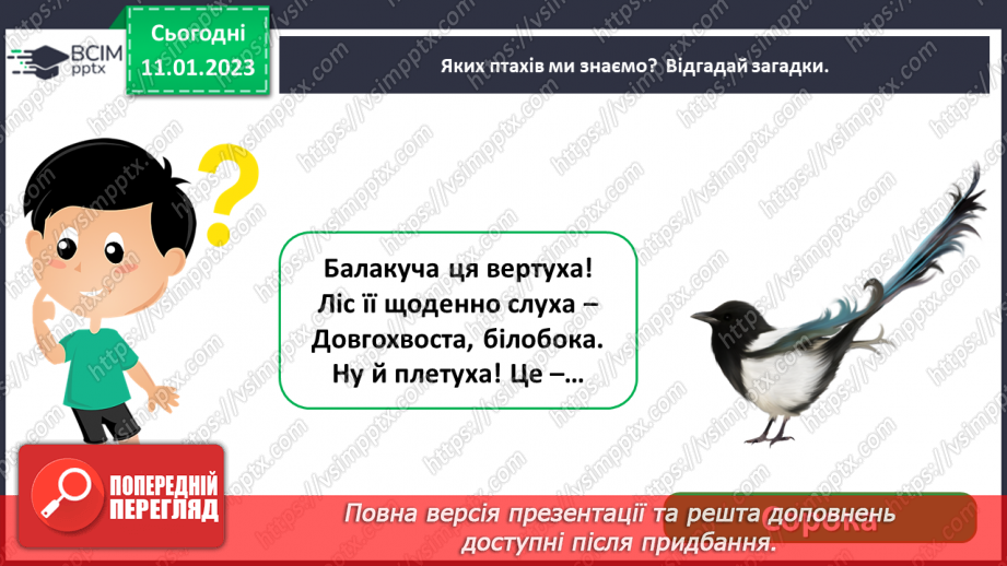 №0057 - Птахи5