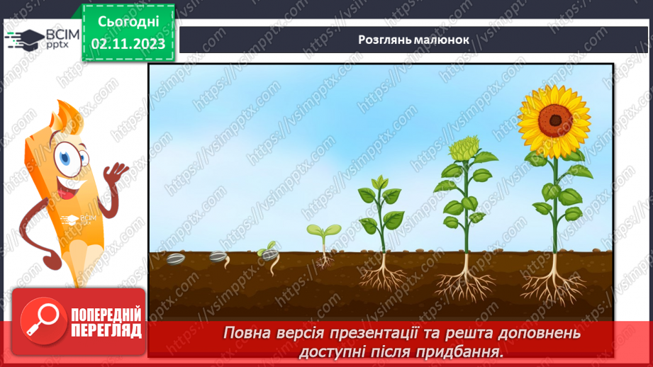 №033 - Ґрунт. Що потрібно рослині для розвитку? Як насінина соняхом стала. Подорож маленької зернинки23 №033 - Ґрунт. Що потрібно рослині для розвитку? Як насінина соняхом стала. Подорож маленької зернинки23