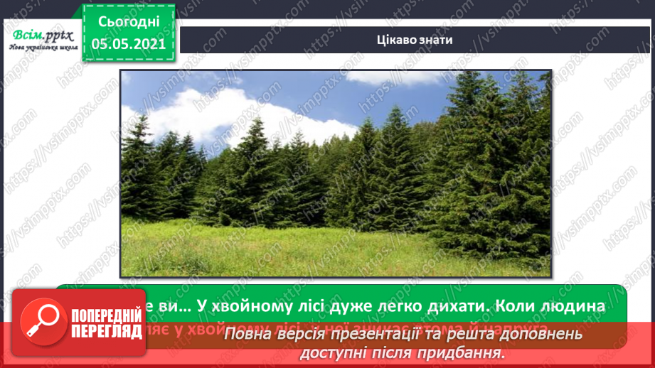 №035 - Хвойні рослини.23 №035 - Хвойні рослини.23