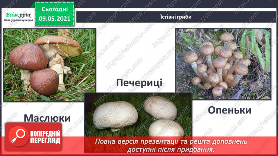 №079 - У чому загадковість світу грибів?12