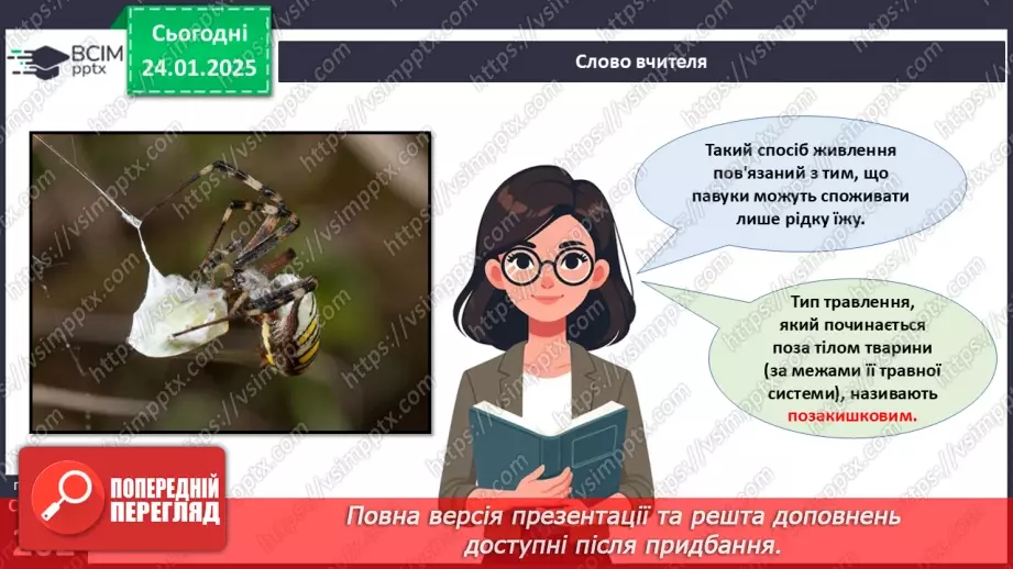 №58 - Павукоподібні.9