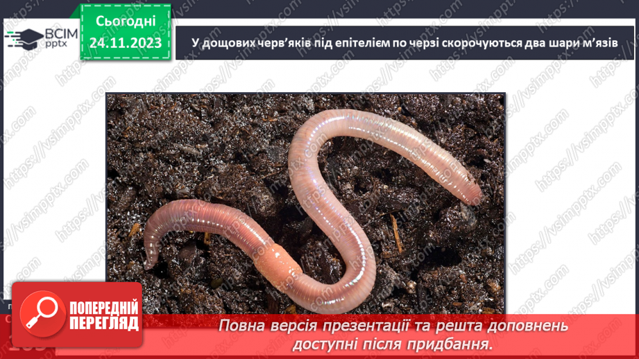 №28 - Чи можливе життя без руху. Різноманітність рухів рослин. Види руху тварин.17