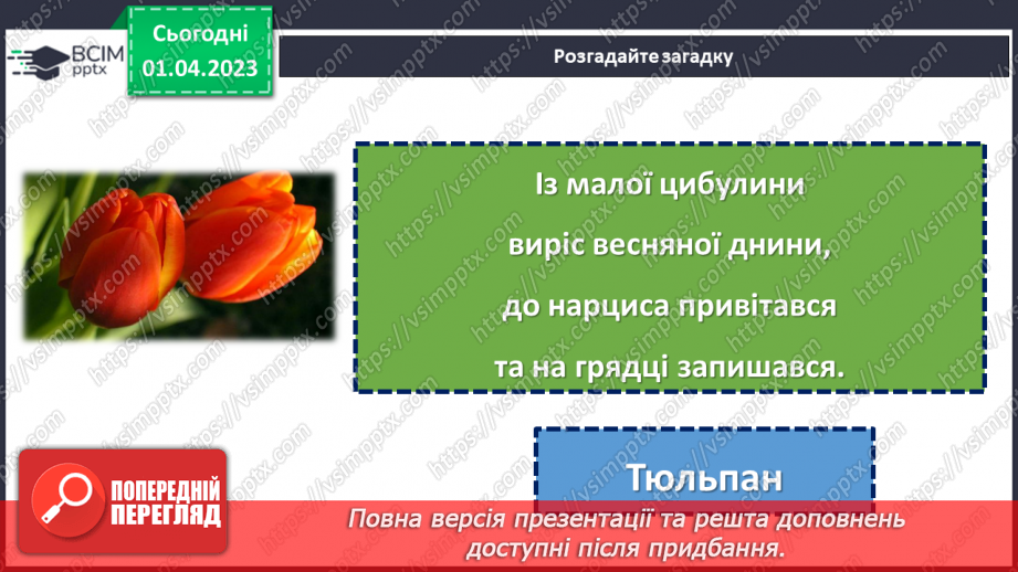 №111 - Квіти — Землі окраса. Леся Вознюк «Квіти».15