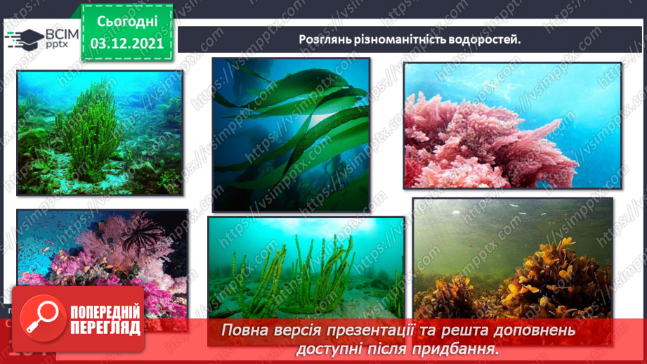 №044 - Океани Землі. Особливості природи океанів9 №044 - Океани Землі. Особливості природи океанів9