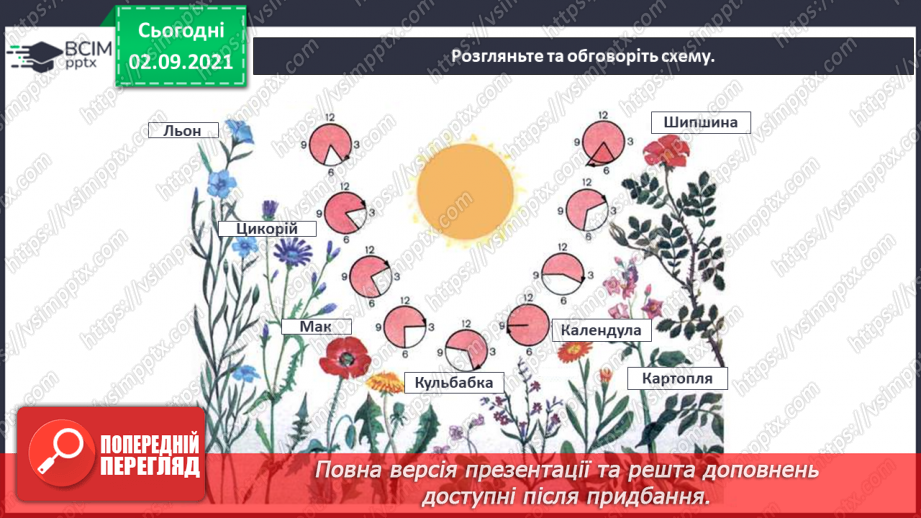 №007 - Пригода третя. Рослина-схованка.28