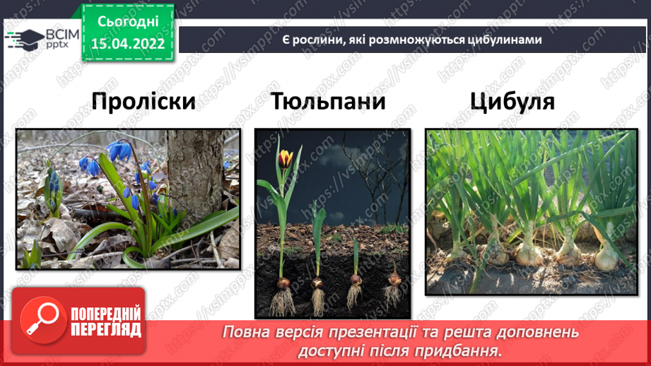 №088 - Що в мене спільного з моїми родичами? Комікс: «Чому потрібно добре готуватися до подорожі?»20 №088 - Що в мене спільного з моїми родичами? Комікс: «Чому потрібно добре готуватися до подорожі?»20