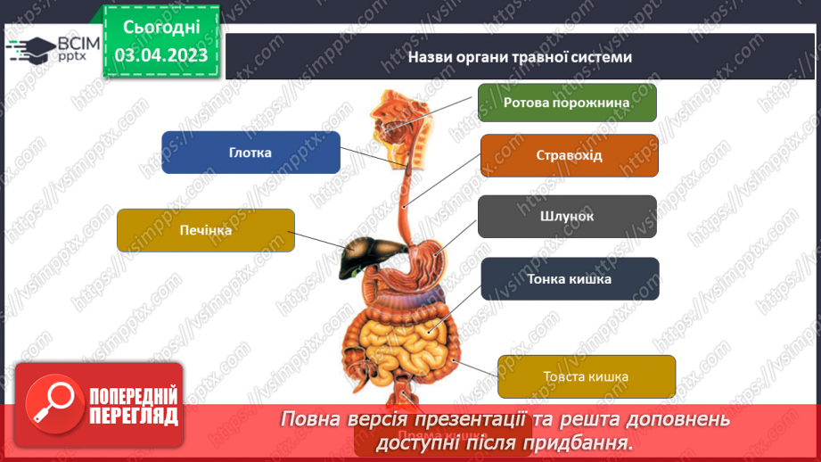 №59 - Узагальнення розділу «Пізнаємо організм людини в середовищі його існування». Самооцінювання навчальних результатів теми.8