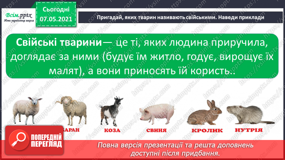 №048 - Узагальнення і систематизація знань учнів. Діагностична робота з тем «Різноманітність рослин і тварин». Підсумок за семестр.19