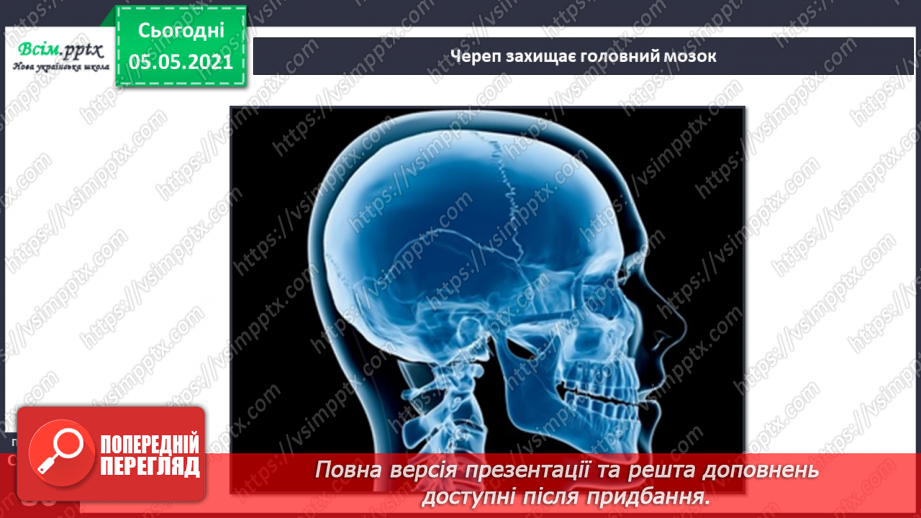 №057-58 - Скелет — опора тіла.15 №057-58 - Скелет — опора тіла.15