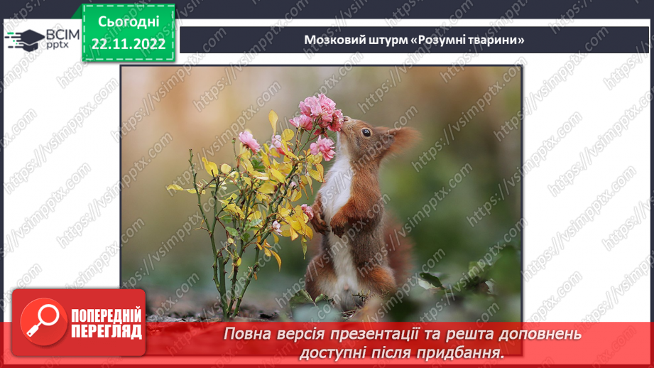 №045 - Найрозумніші тварини.10