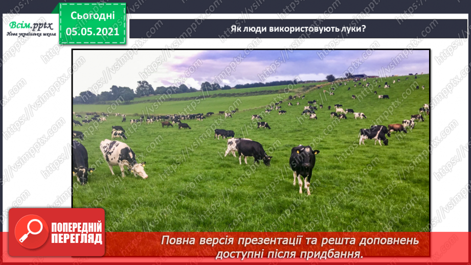 №095 - Ясніє в кожній квітці дивина.17 №095 - Ясніє в кожній квітці дивина.17