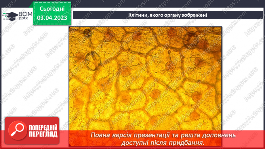 №59 - Узагальнення розділу «Пізнаємо організм людини в середовищі його існування». Самооцінювання навчальних результатів теми.5