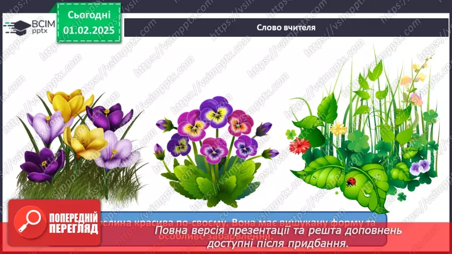 №021 - Світ рослин у мистецтві8 №021 - Світ рослин у мистецтві8