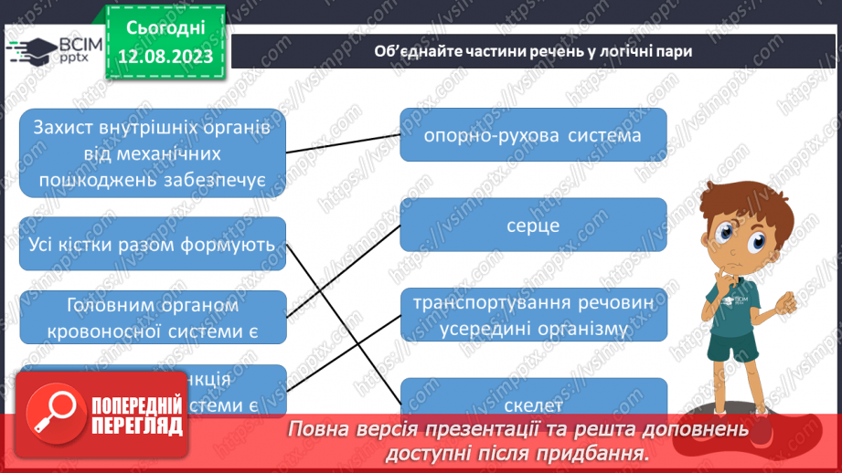 №13 - Людина як організована форма життя. Поняття про основні системи людини та їх значення.24