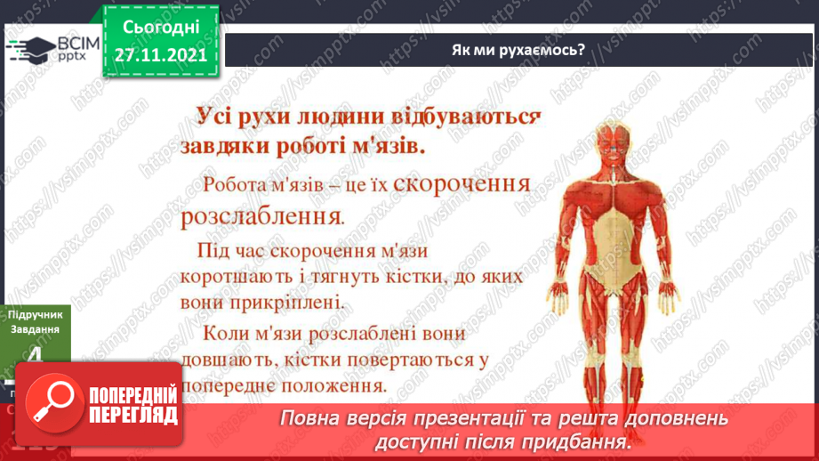 №041 - Що таке опорно-рухова система?16 №041 - Що таке опорно-рухова система?16