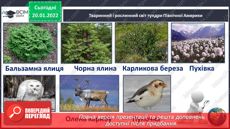 №059 - Рослинний і тваринний світ Північної Америки14 №059 - Рослинний і тваринний світ Північної Америки14