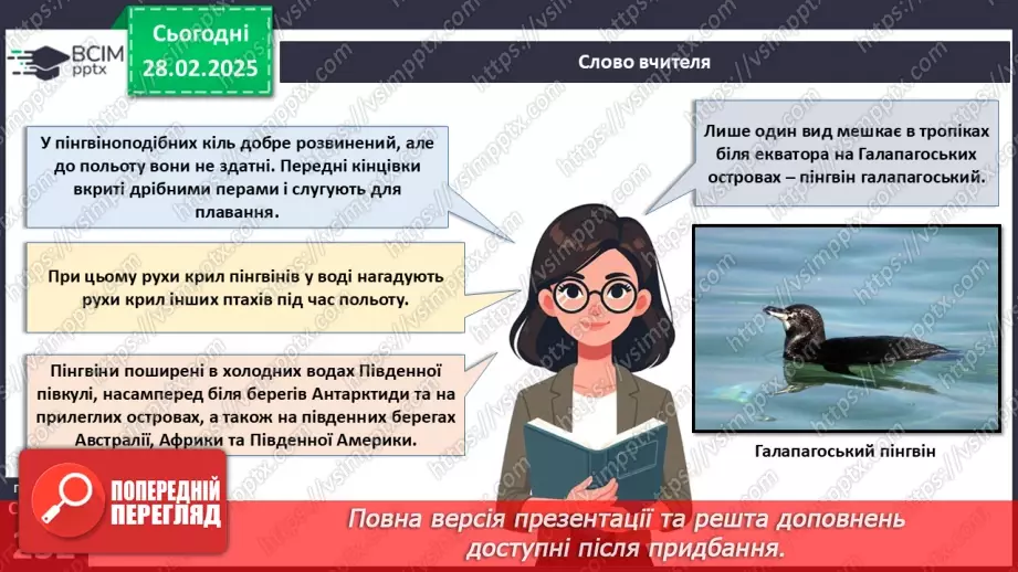 №65 - Різноманітність птахів.5