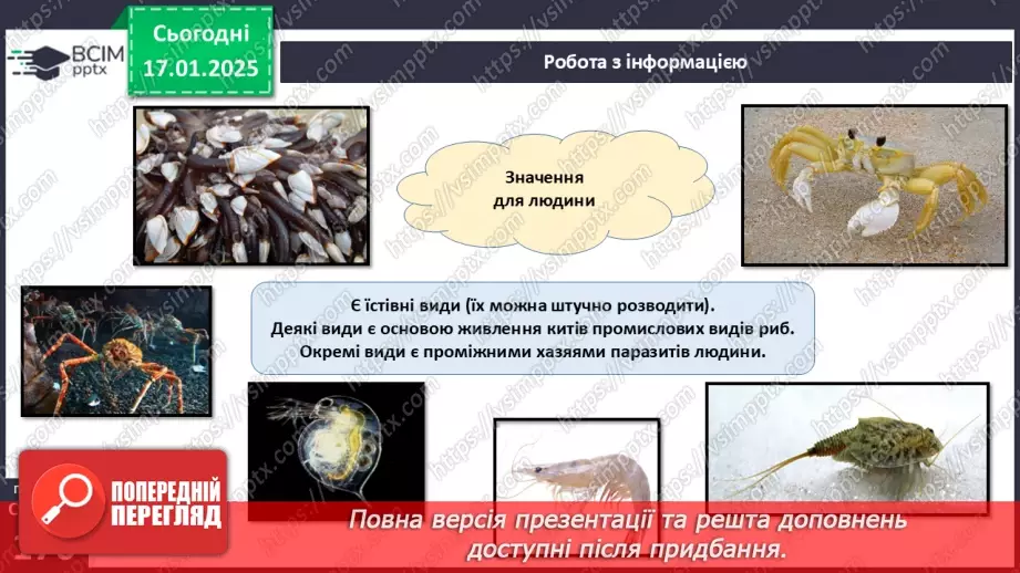 №54 - Членистоногі. Ракоподібні.13 №54 - Членистоногі. Ракоподібні.13