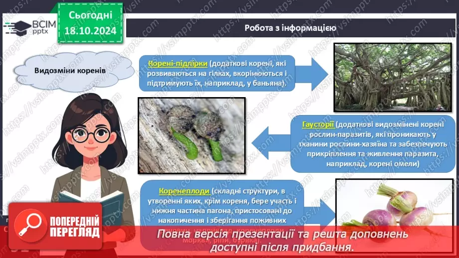 №26 - Видозміни вегетативних органів рослин.8 №26 - Видозміни вегетативних органів рослин.8