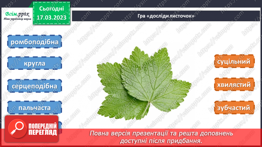 №28 - Живі листки на папері. Створення весняної листівки на тему «Бережімо природу»13 №28 - Живі листки на папері. Створення весняної листівки на тему «Бережімо природу»13