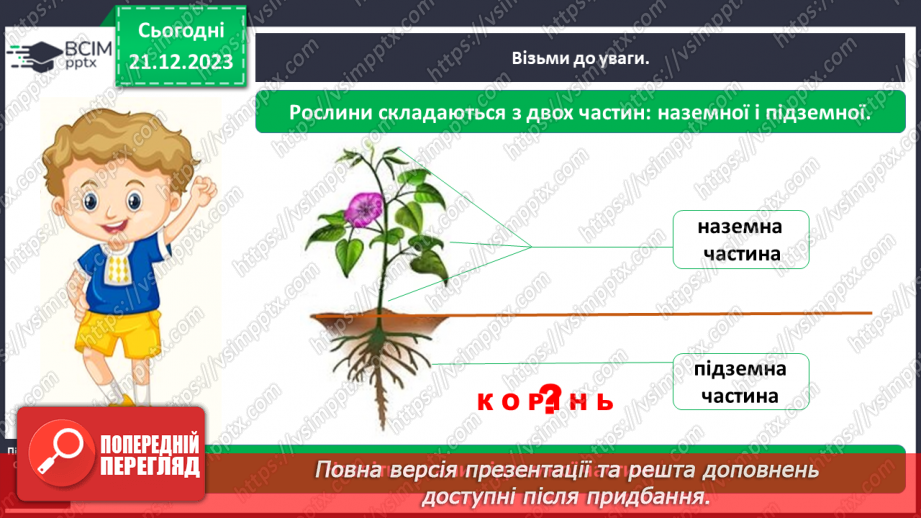 №050 - Яка будова рослин6 №050 - Яка будова рослин6